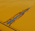 yellow_side1