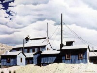 80